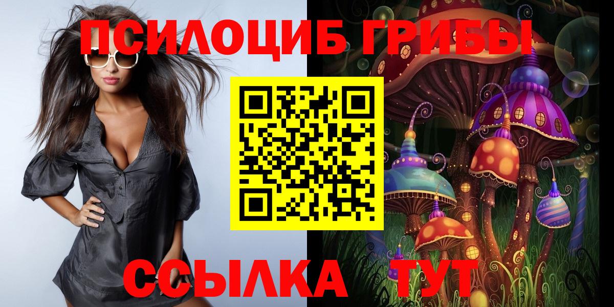 Галлюциногенные грибы мицелий  Вход с VPN  Приморско-Ахтарск 